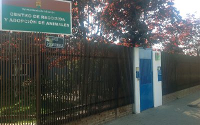 Ganar Alcorcón exige que el actual Gobierno de Alcorcón atienda los problemas que sufren los animales del Centro Integral de Protección Animal por la falta de alimentación.