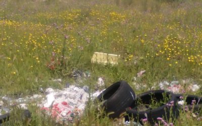 Ganar Alcorcón insta al gobierno del PP a tomar medidas para solucionar los vertidos de la zona norte