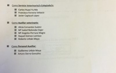 El Gobierno municipal del PP se niega a paralizar la adjudicación de CIPA a Recolte
