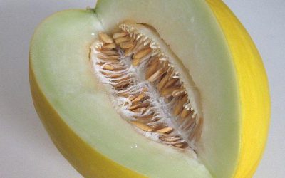 Primera edición de los Premios Sandia y Melón 2017 entregados por Ganar Alcorcón