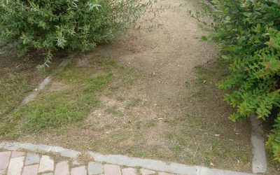 Aprobada la mejora del Parque Darwin del Ensanche Sur a iniciativa de Ganar Alcorcón