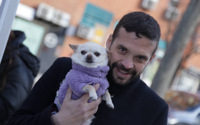 Las propuestas de bienestar animal de Ganar Alcorcón: veterinario municipal y mejora de las áreas caninas